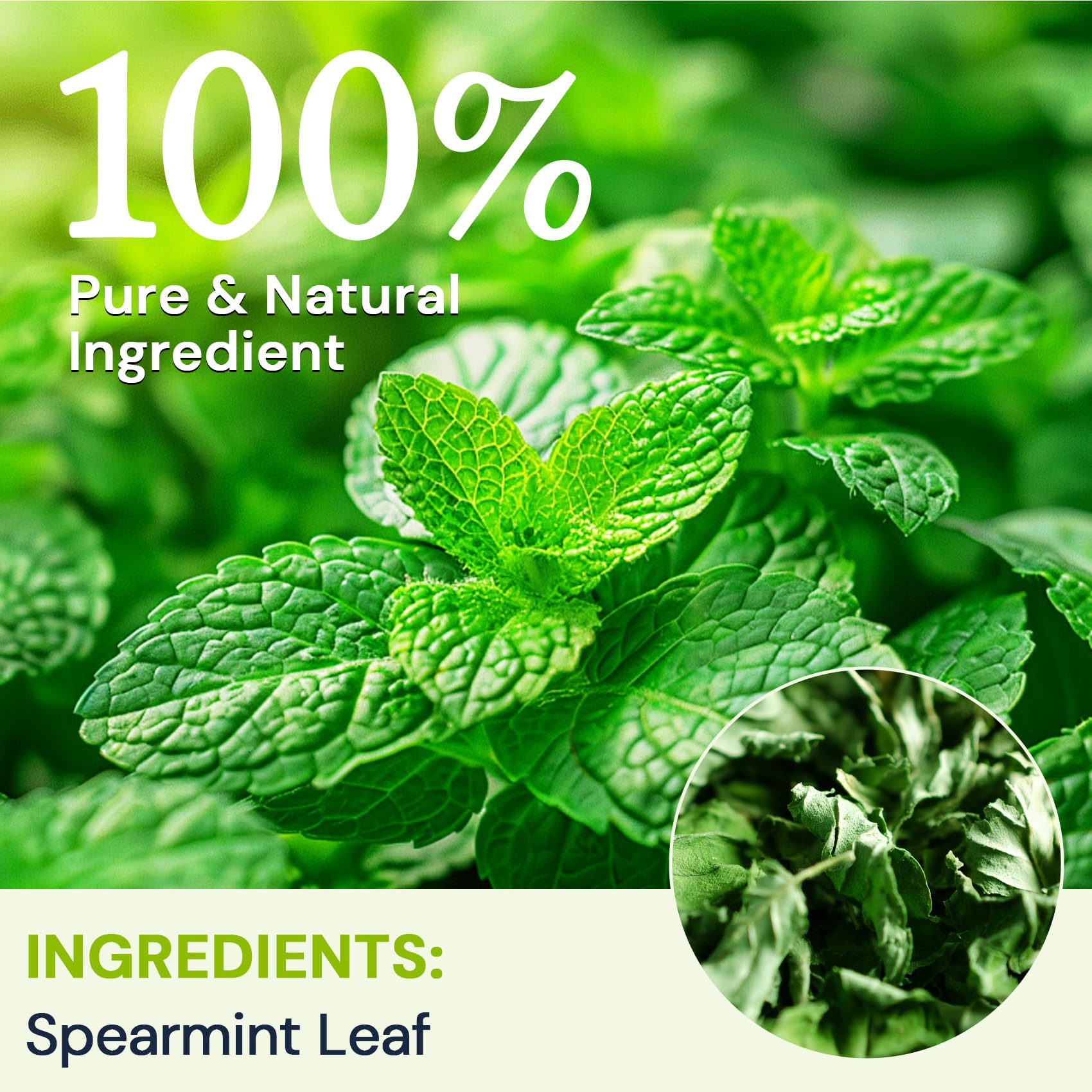 Teh Herbal Daun Spearmint - Detail 3
