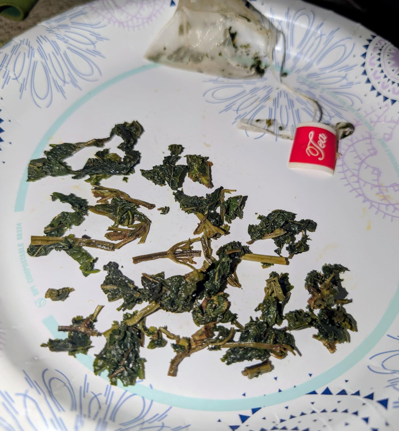 Customer photo 2
